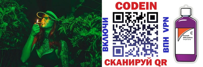 дарнет шоп  Копейск  Кодеиновый сироп Lean Purple Drank 