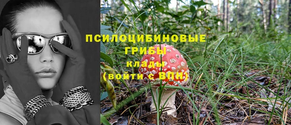 амф Абаза