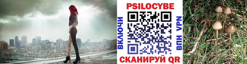 Галлюциногенные грибы прущие грибы  Копейск 